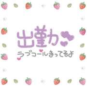 ヒメ日記 2026/01/24 06:33 投稿 あかり 吉原ファーストレディ