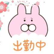 ヒメ日記 2026/01/26 07:56 投稿 あかり 吉原ファーストレディ