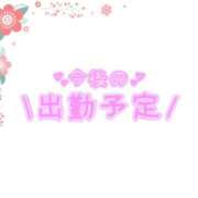 ヒメ日記 2026/02/03 14:46 投稿 あかり 吉原ファーストレディ