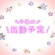 ヒメ日記 2026/02/05 14:36 投稿 あかり 吉原ファーストレディ