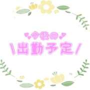 ヒメ日記 2026/02/07 15:36 投稿 あかり 吉原ファーストレディ