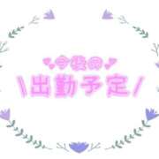 ヒメ日記 2026/02/09 15:36 投稿 あかり 吉原ファーストレディ