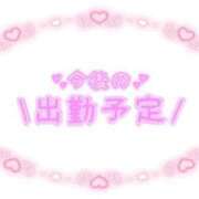 ヒメ日記 2026/02/26 23:23 投稿 あかり 吉原ファーストレディ