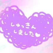 ヒメ日記 2026/02/28 06:16 投稿 あかり 吉原ファーストレディ