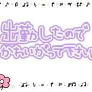ヒメ日記 2026/03/02 07:21 投稿 あかり 吉原ファーストレディ