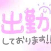 ヒメ日記 2026/03/07 07:56 投稿 あかり 吉原ファーストレディ