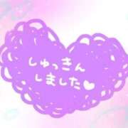 ヒメ日記 2026/03/29 06:16 投稿 あかり 吉原ファーストレディ