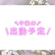 ヒメ日記 2026/03/29 17:46 投稿 あかり 吉原ファーストレディ