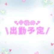 ヒメ日記 2026/04/08 20:06 投稿 あかり 吉原ファーストレディ