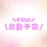 あかり こんばんわ 吉原ファーストレディ