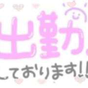 ヒメ日記 2026/08/19 08:16 投稿 あかり 吉原ファーストレディ