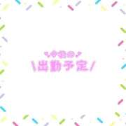 ヒメ日記 2026/09/11 23:26 投稿 あかり 吉原ファーストレディ