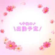 ヒメ日記 2026/09/19 19:48 投稿 あかり 吉原ファーストレディ