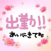 ヒメ日記 2026/09/24 07:46 投稿 あかり 吉原ファーストレディ