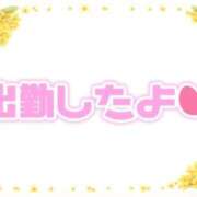 ヒメ日記 2026/10/12 07:26 投稿 あかり 吉原ファーストレディ