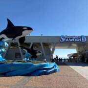 ヒメ日記 2026/02/18 17:02 投稿 わかな☆単体AV女優☆ OKINI立川