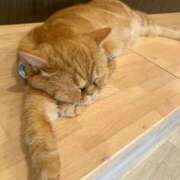 ヒメ日記 2025/09/23 13:16 投稿 わかな☆単体AV女優☆ OKINI八王子