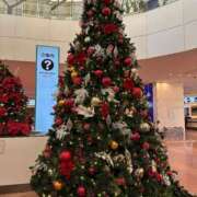 ヒメ日記 2024/12/11 15:34 投稿 ゆい 木更津人妻花壇