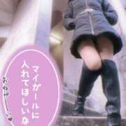 ヒメ日記 2024/12/23 15:04 投稿 ゆい 木更津人妻花壇