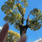 ヒメ日記 2025/02/09 12:56 投稿 ゆい 木更津人妻花壇