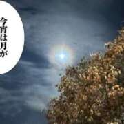 ヒメ日記 2025/02/14 01:11 投稿 ゆい 木更津人妻花壇