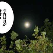 ヒメ日記 2025/03/15 04:40 投稿 ゆい 木更津人妻花壇