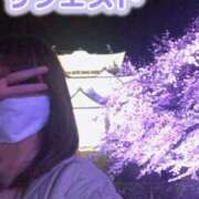 ヒメ日記 2025/04/06 22:16 投稿 ゆい 木更津人妻花壇