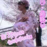 ヒメ日記 2025/04/16 23:42 投稿 ゆい 木更津人妻花壇