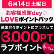ヒメ日記 2025/06/14 12:24 投稿 ゆい 木更津人妻花壇