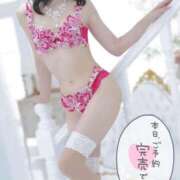 ヒメ日記 2025/09/17 07:32 投稿 ゆい 木更津人妻花壇