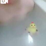 ヒメ日記 2025/02/24 13:52 投稿 いおり バカンス学園　谷九校