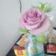 ヒメ日記 2025/04/24 02:40 投稿 いおり バカンス学園　谷九校