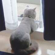 ヒメ日記 2025/08/11 16:10 投稿 いおり バカンス学園　谷九校