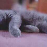 ヒメ日記 2025/10/24 01:10 投稿 いおり バカンス学園　谷九校