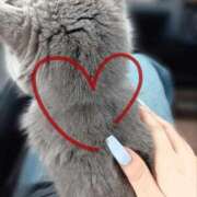 ヒメ日記 2025/12/02 10:20 投稿 いおり バカンス学園　谷九校