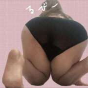 ヒメ日記 2024/12/22 11:36 投稿 るびー 新潟市鳥屋野潟ちゃんこ