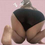 ヒメ日記 2024/12/28 18:16 投稿 るびー 新潟市鳥屋野潟ちゃんこ