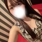 ヒメ日記 2025/02/12 08:13 投稿 しずく SOPHIA（ソフィア）