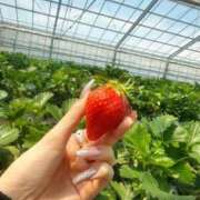 ヒメ日記 2025/05/09 08:16 投稿 れな ジュリアングループ八王子店