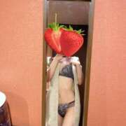 ヒメ日記 2025/04/03 17:20 投稿 富菜　かずさ プルプル倶楽部 札幌すすきの店