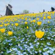 ヒメ日記 2025/04/13 15:10 投稿 花火【ハナビ】 LOVEキタ兎我野店