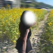 ヒメ日記 2025/11/11 14:53 投稿 花火【ハナビ】 LOVEキタ兎我野店