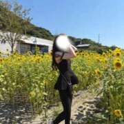 ヒメ日記 2026/03/12 15:53 投稿 花火【ハナビ】 LOVEキタ兎我野店