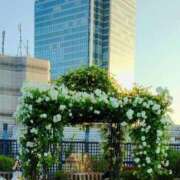 ヒメ日記 2025/05/15 21:48 投稿 ホノカ ソープランド マックス