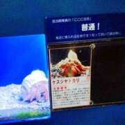 ヒメ日記 2025/08/07 12:28 投稿 ホノカ ソープランド マックス