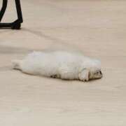 ヒメ日記 2025/08/08 17:28 投稿 ホノカ ソープランド マックス