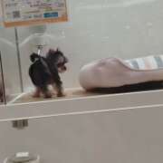 ヒメ日記 2026/01/03 17:43 投稿 ホノカ ソープランド マックス