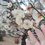 ヒメ日記 2026/02/16 18:22 投稿 ホノカ ソープランド マックス