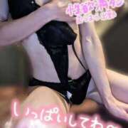 ヒメ日記 2024/12/19 10:31 投稿 市川　まひる ホットポイントヴィラ