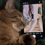 ヒメ日記 2026/01/23 09:30 投稿 市川　まひる ホットポイントヴィラ